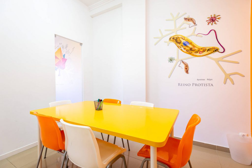 21.07.30 - Darwins-29 Media Galerias Sala Laranja | Reino Protista - DarWins Centro de Explicações em Alcabideche