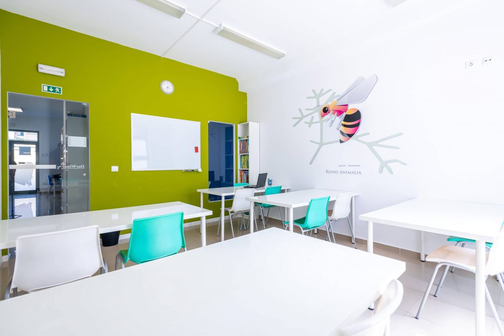 21.07.30 - Darwins-55 O que fazemos Media Galerias Sala Verde | Reino Animalia - DarWins Centro de Explicações em Alcabideche